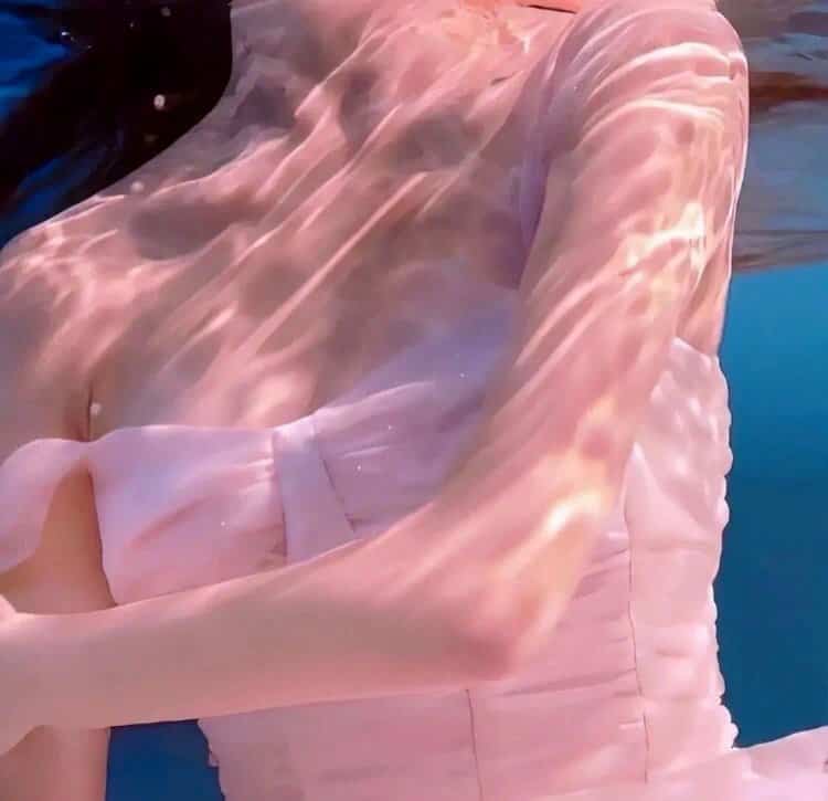 樱花飞舞的浪漫时节